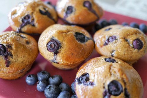 muffin aux myrtilles - votre dieteticienne - valerie coureau